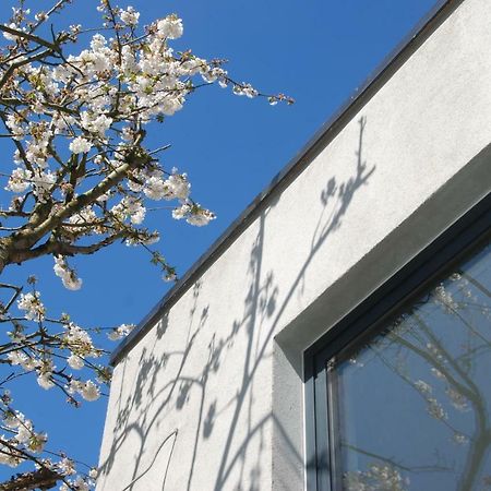 B&B Garden55 Mechelen Exterior foto