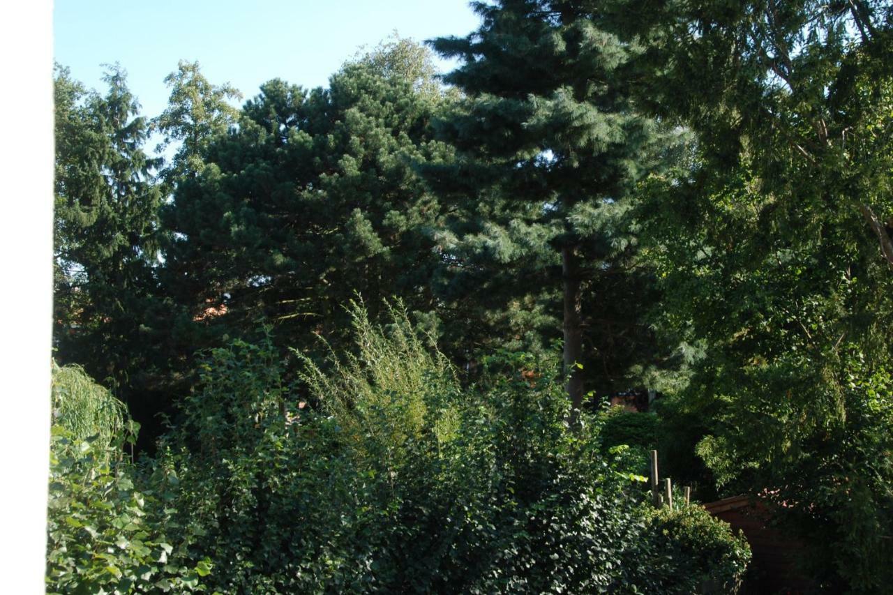 B&B Garden55 Mechelen Exterior foto